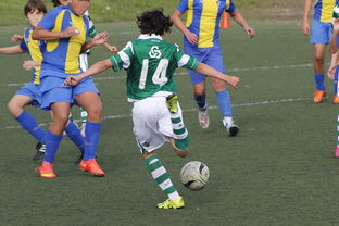 KAIYUN 中国大陆-上海申花再遭柔佛新山逆转，1-3失利痛失连胜机会